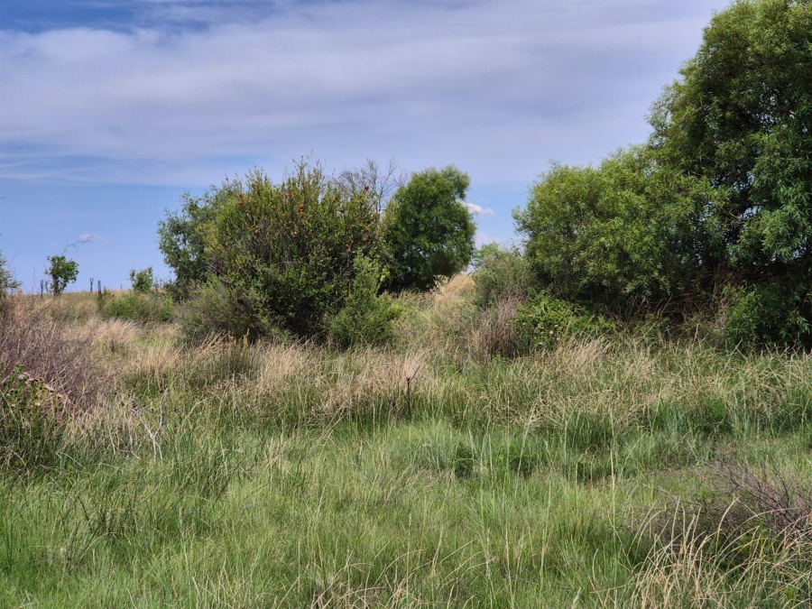 0 Bedroom Property for Sale in Bloemfontein Rural Free State